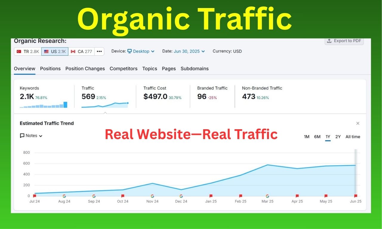 Organic search traffic growth results